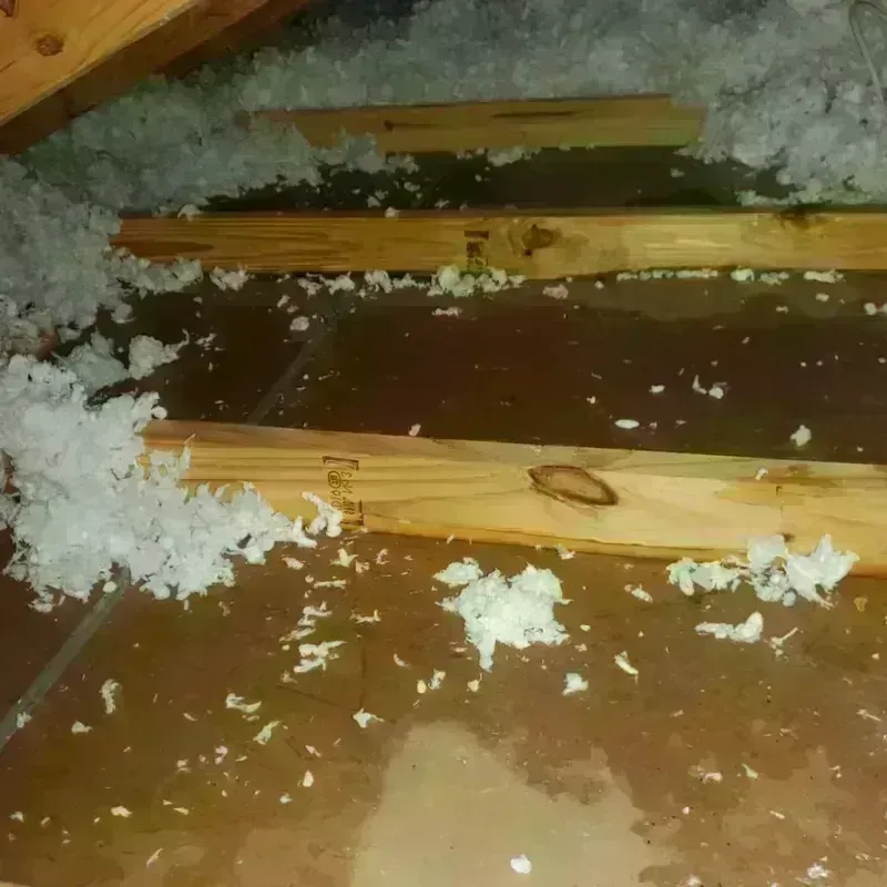 Attic Water Damage in Cardington, OH